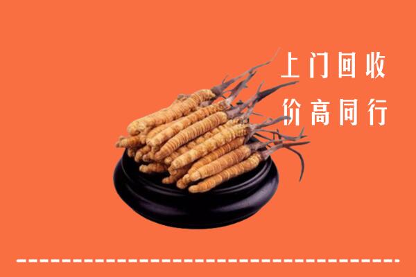 高价求购：德江县回收散虫草